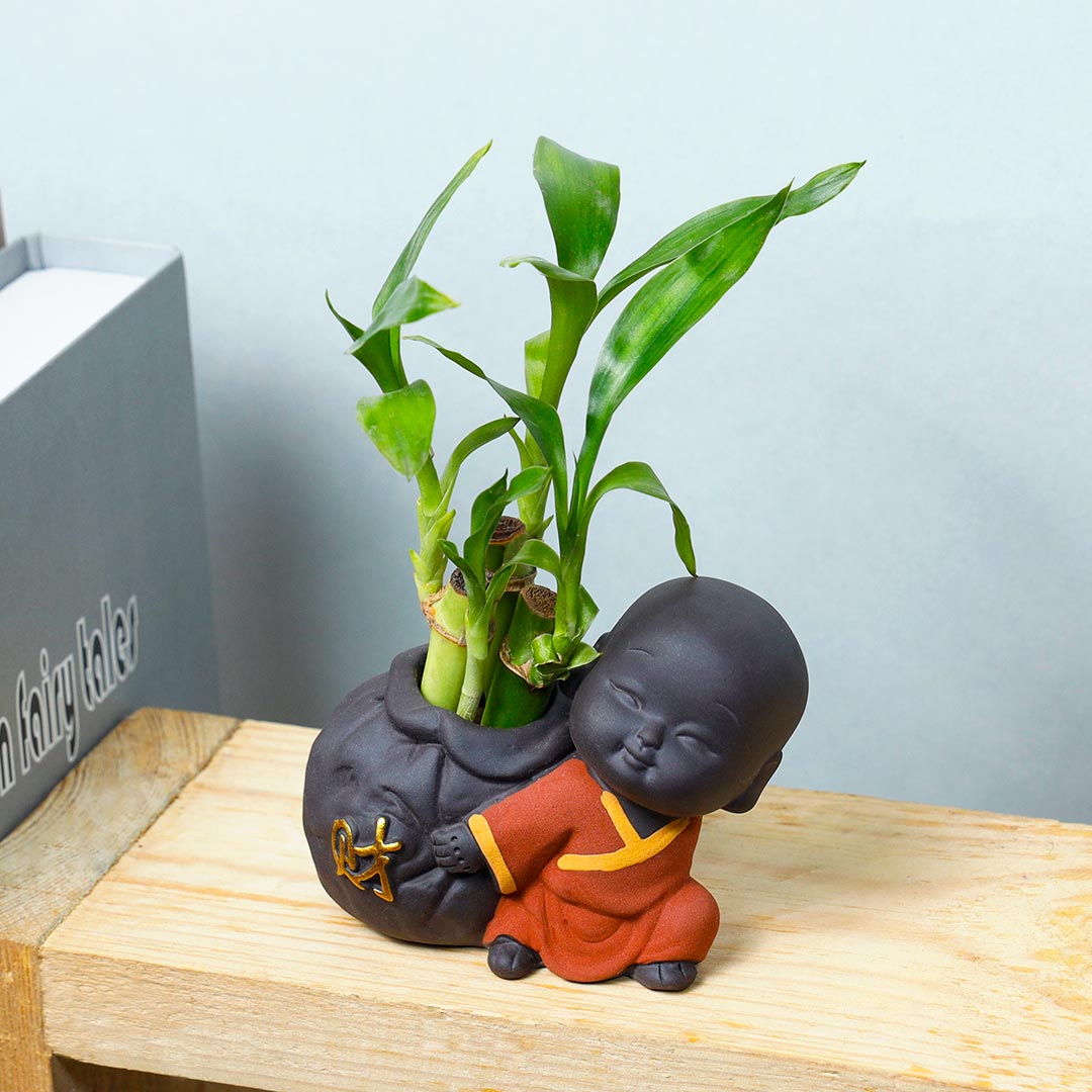 Cute Monk Dragging Lucky Bamboo