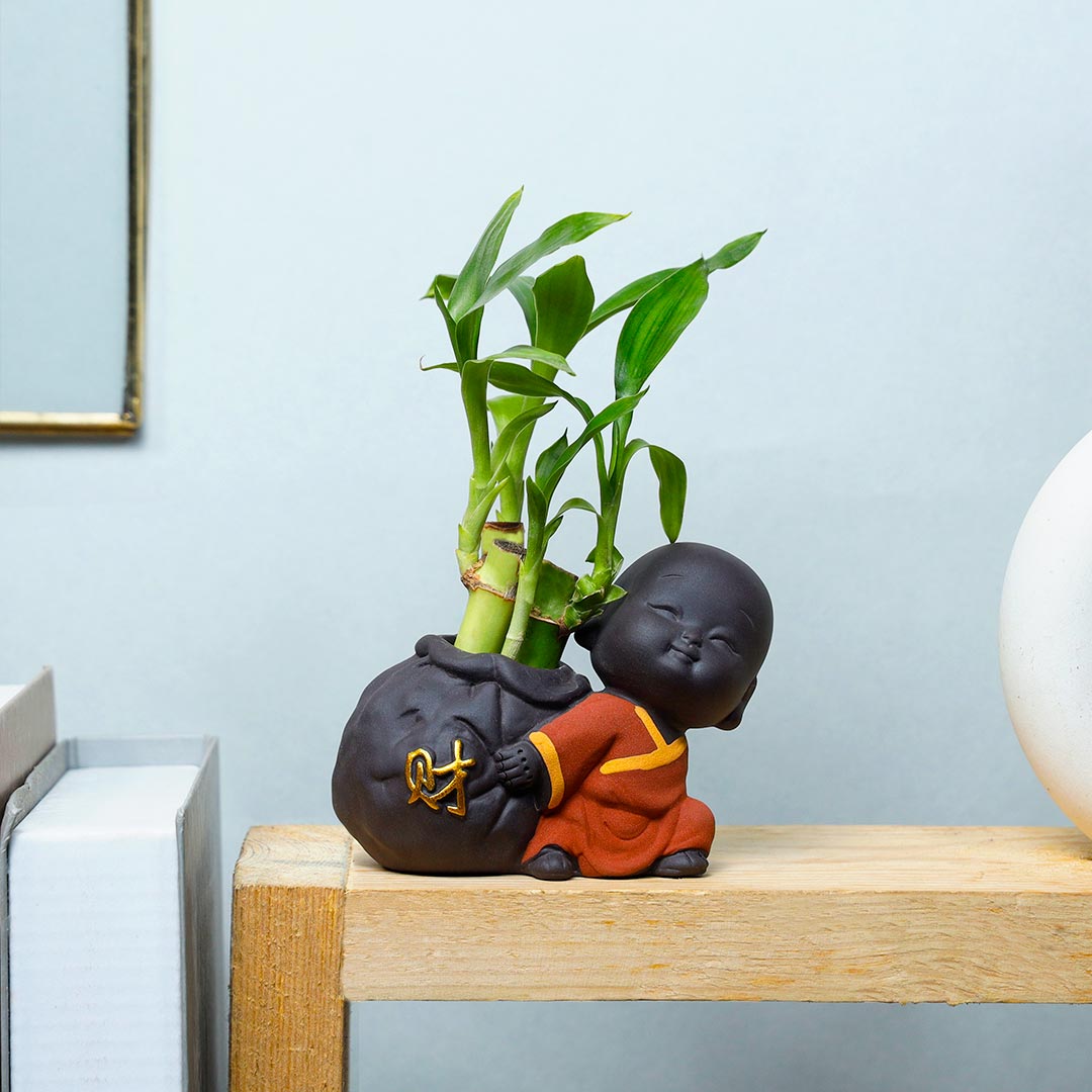 Cute Monk Dragging Lucky Bamboo Order Now