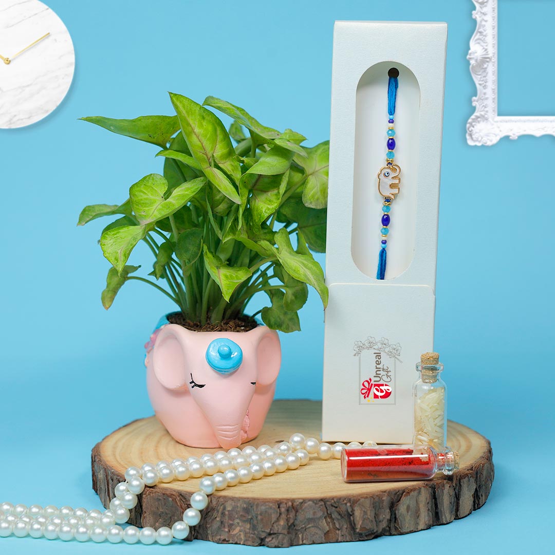 Send Designer Elephant Rakhi With Money Plant Online