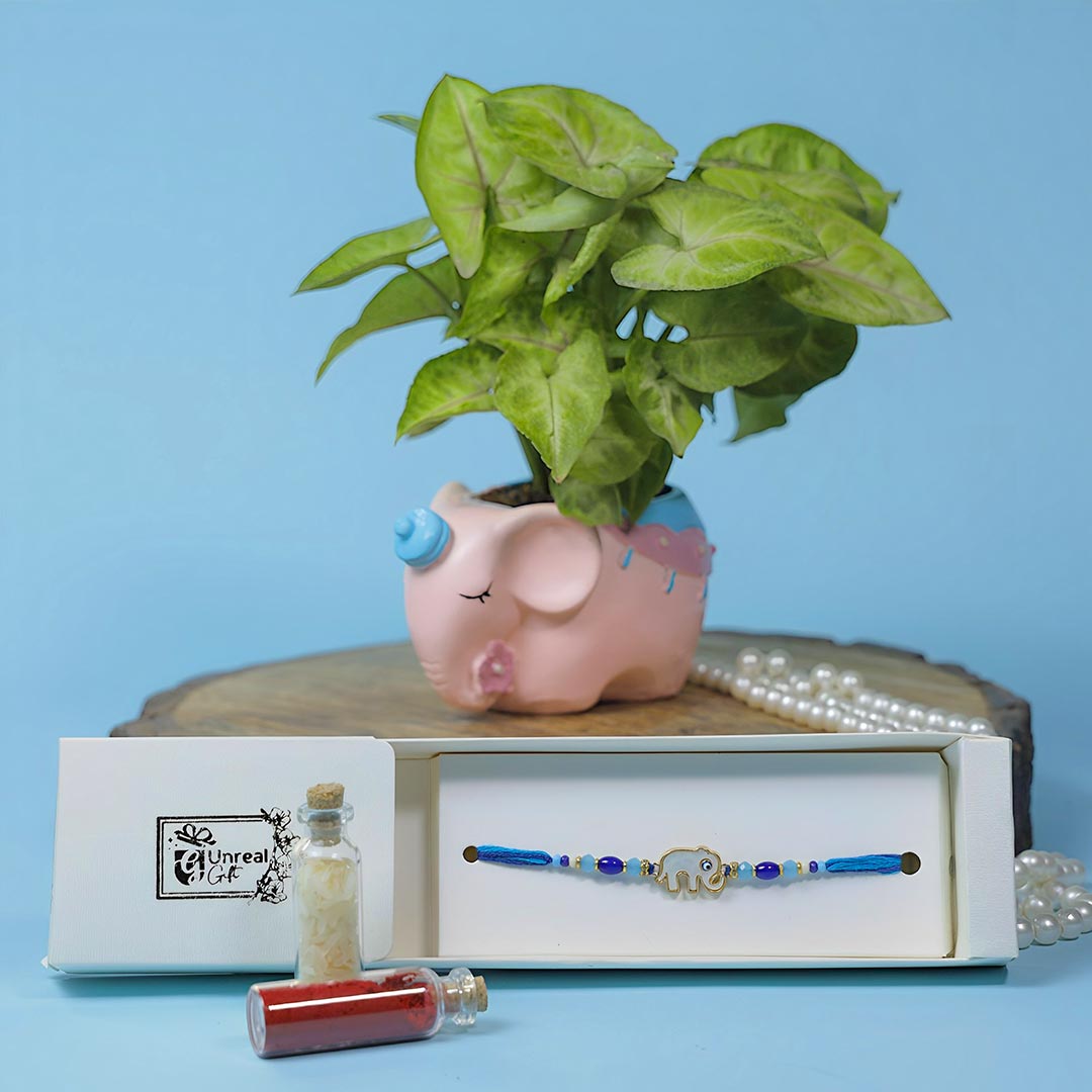 Designer Elephant Rakhi With Money Plant