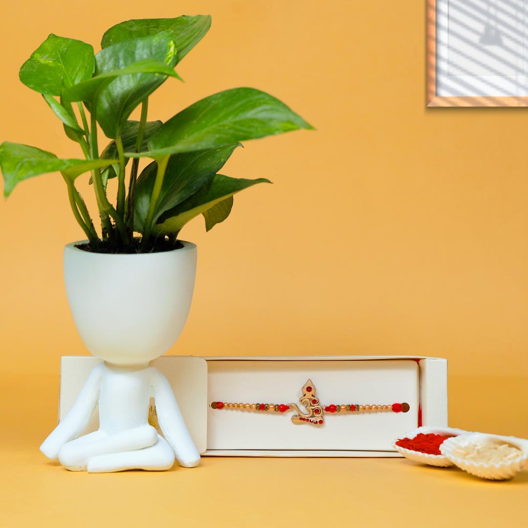 Elegant Om Rakhi With Money Plant Order Now