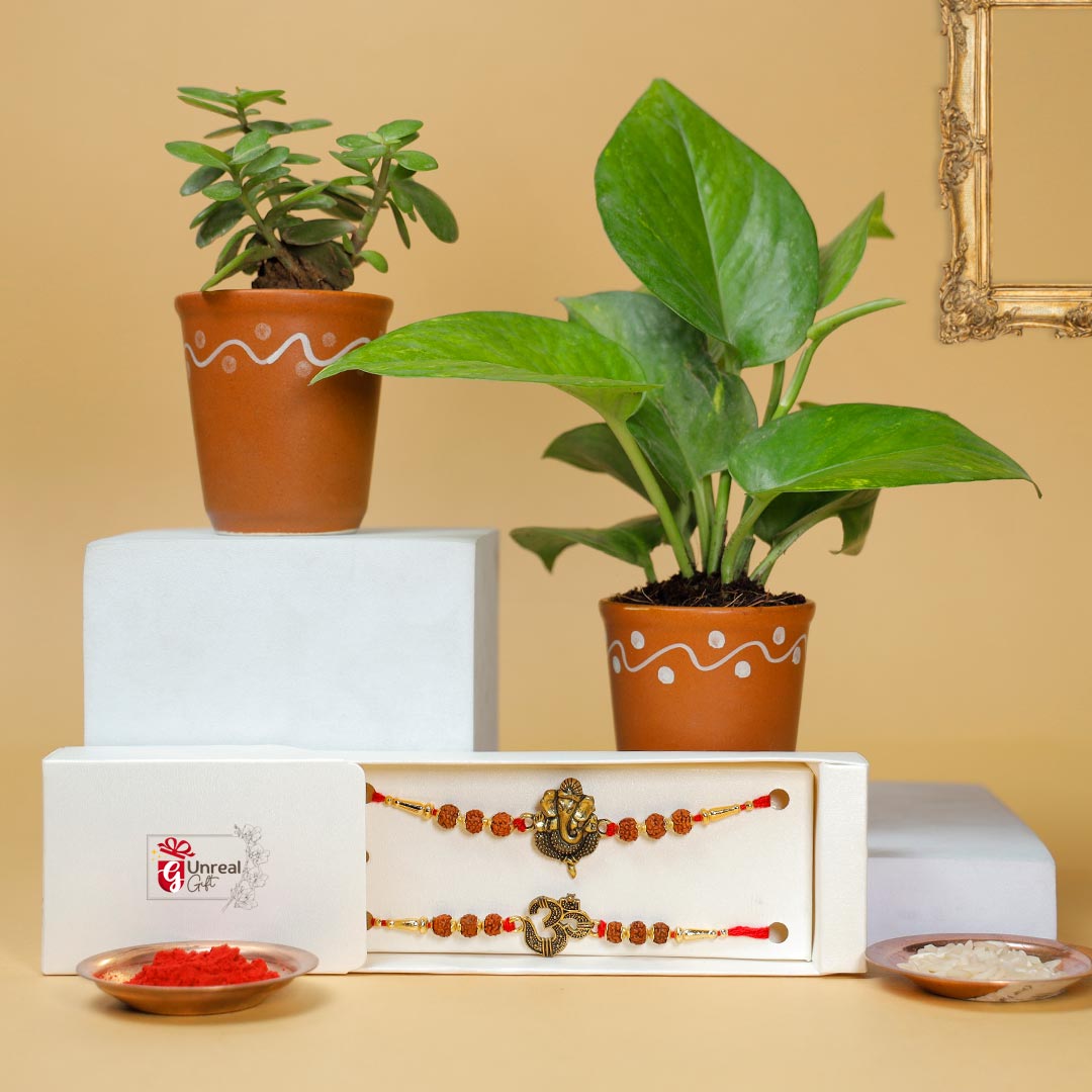 Order Ganesha & Om Rakhi With Good Luck Plant