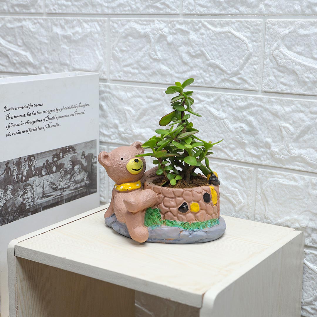 Send Gentlemen Bear with Jade Plant