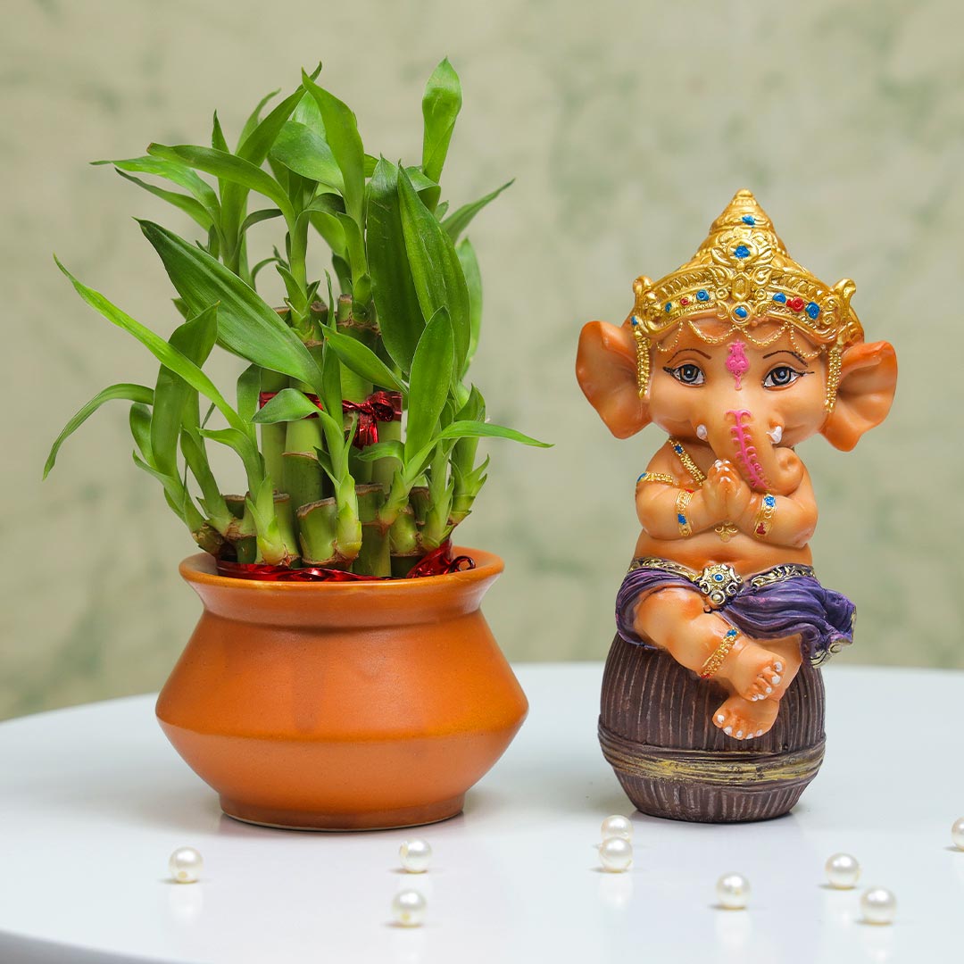 Handi Lucky Bamboo & Ganesha Gift Set