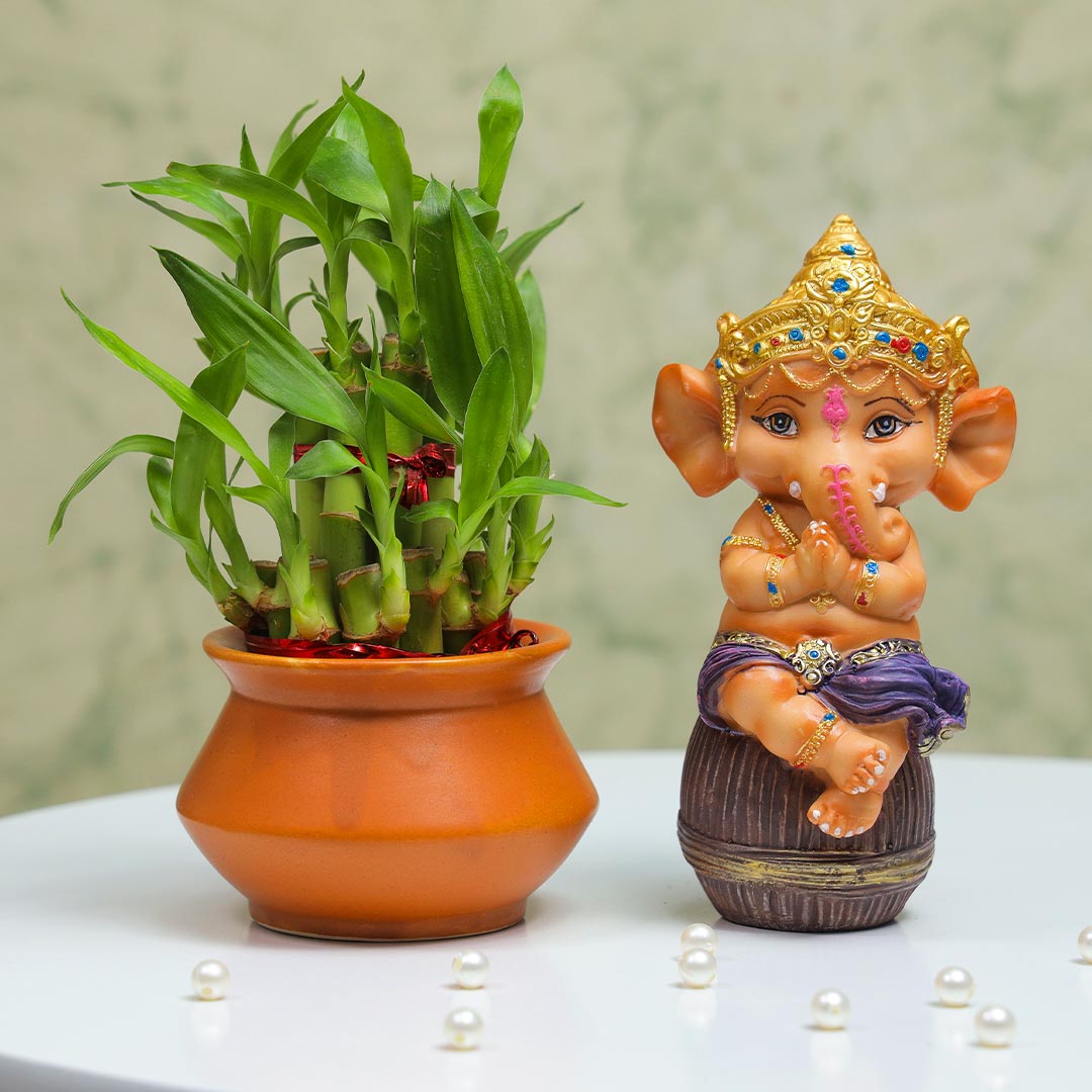 Handi Lucky Bamboo & Ganesha Gift Set Buy Online