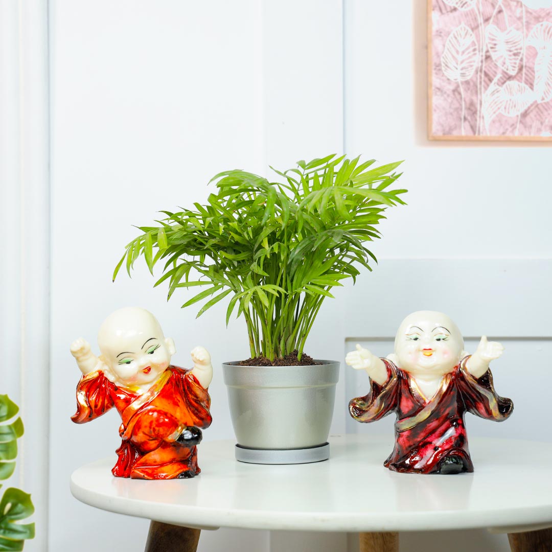 Happy Duo Laughing Buddha And Chamendora Plant Send Now