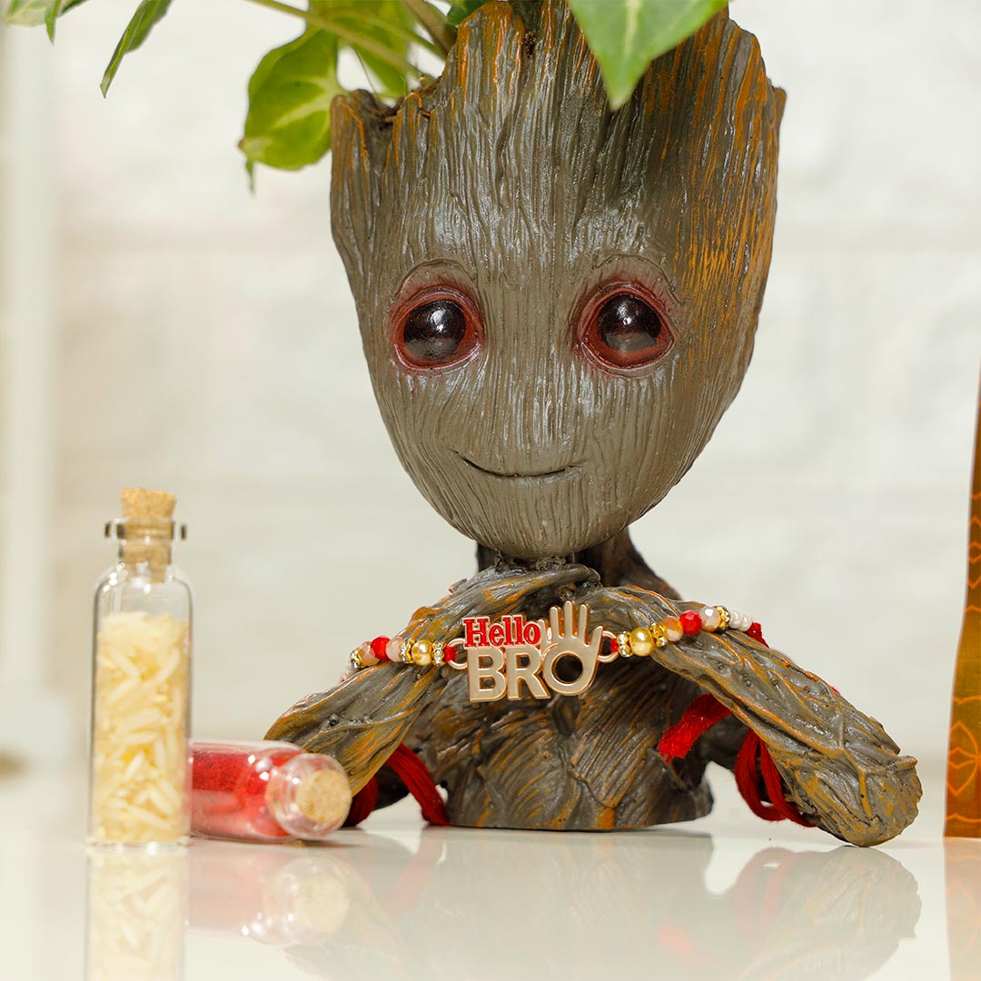 Hello, Bro Rakhi with Hershey's & Groot Plant