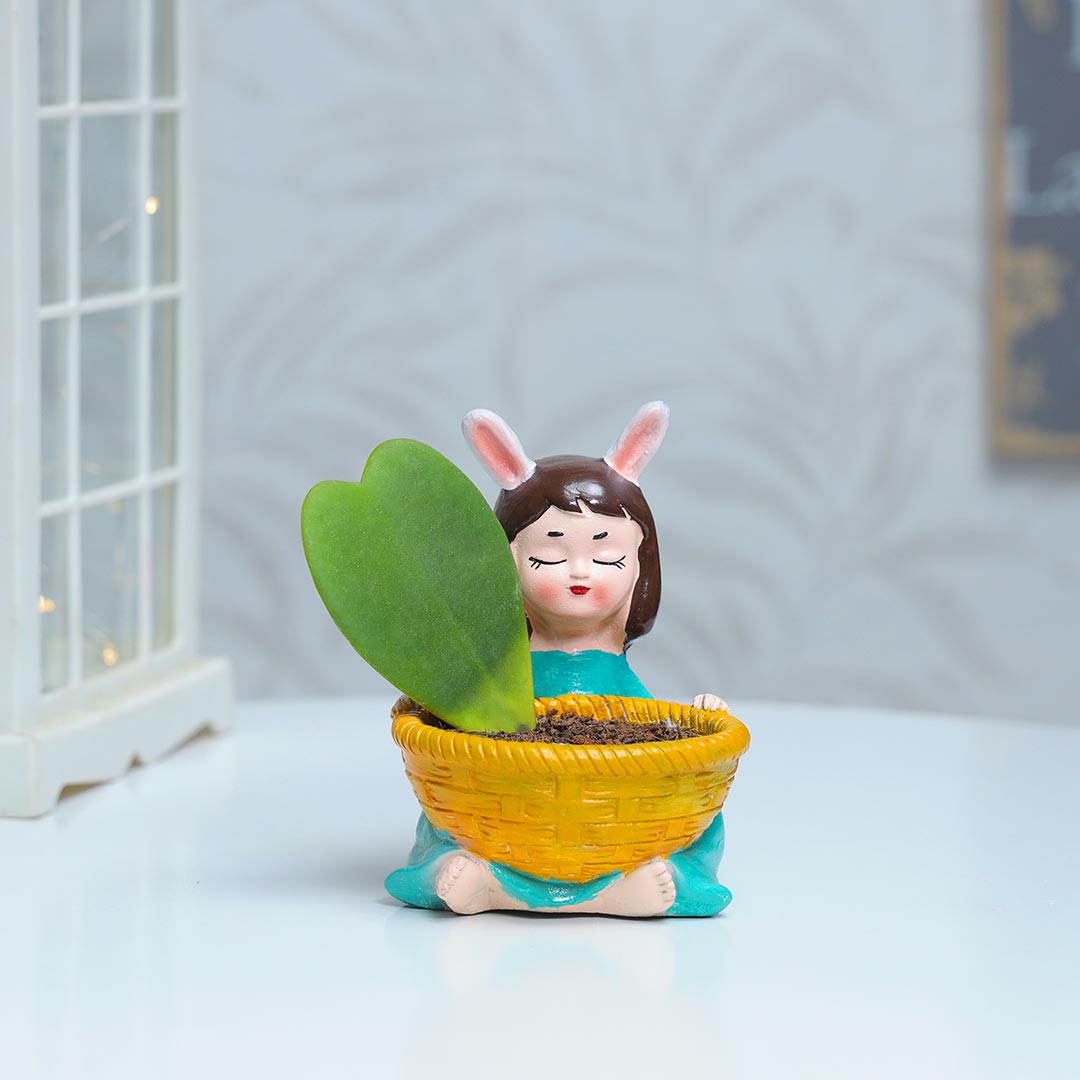 Order Hoya Heart In Adorable Girl Planter