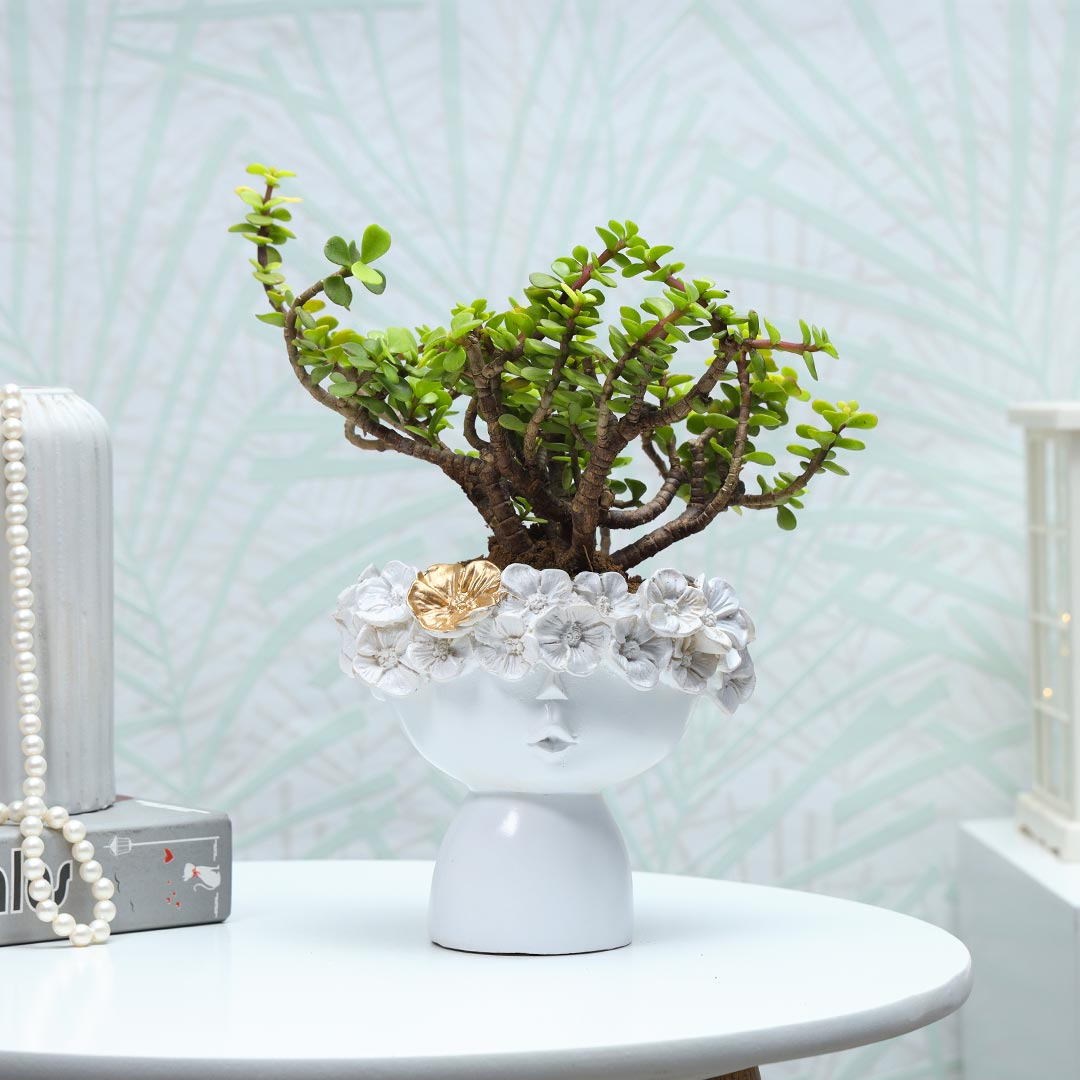 Buy Jade Bonsai In Foral Resin Pot Online