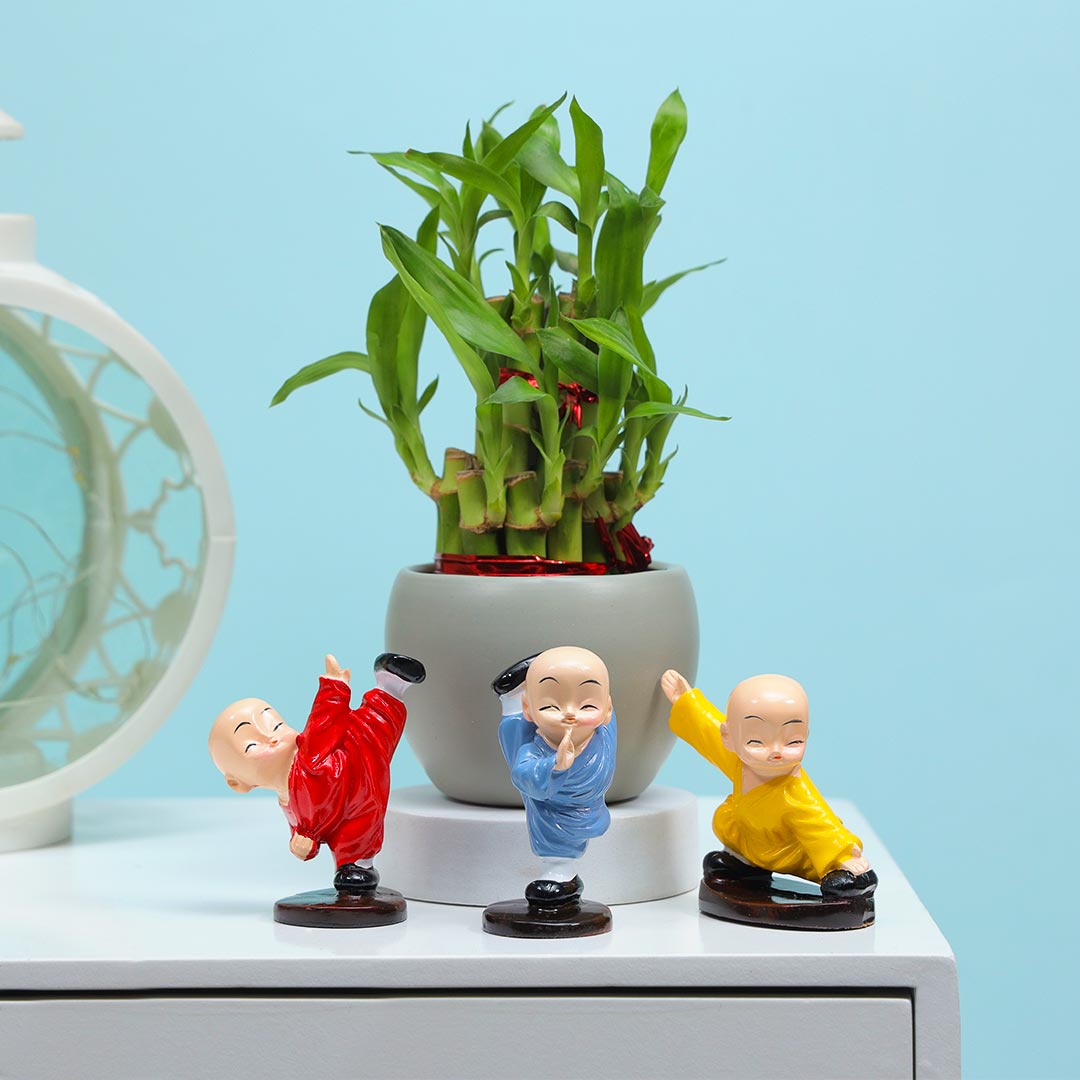 Buy Lucky Bamboo & Kung Fu Monk Gift Set Online