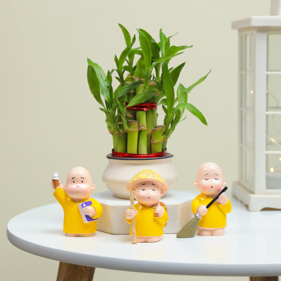 Lucky Bamboo And Monk Gift Set