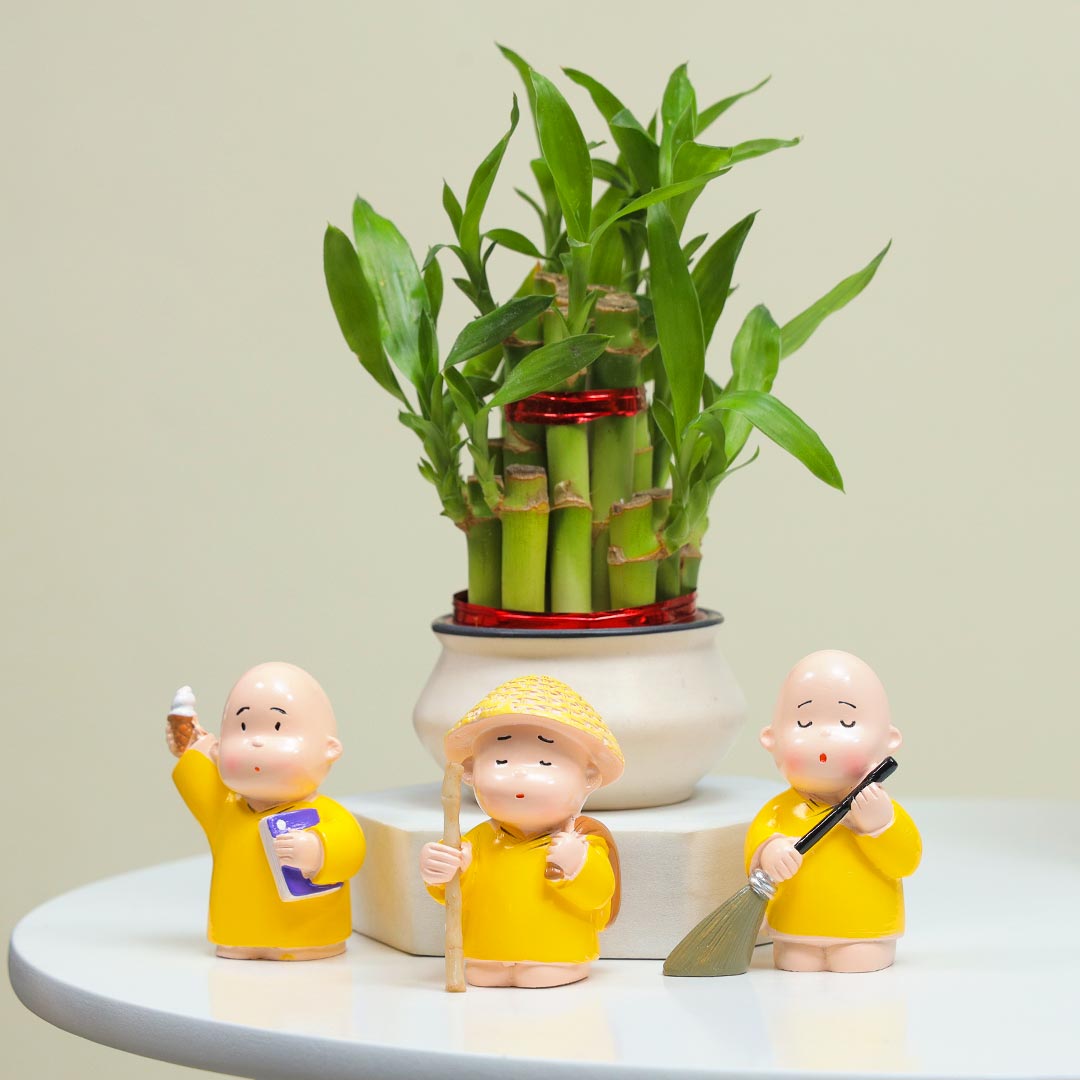 Lucky Bamboo And Monk Gift Set