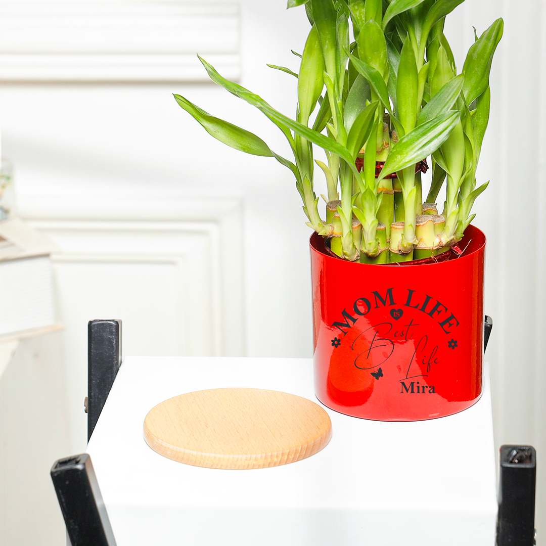 Lucky Bamboo For Mom