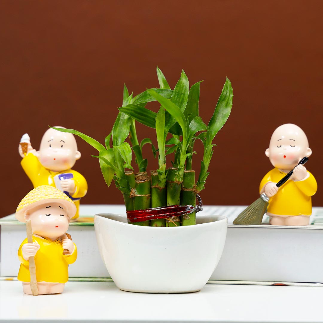 Lucky Bamboo in Boat with Monk