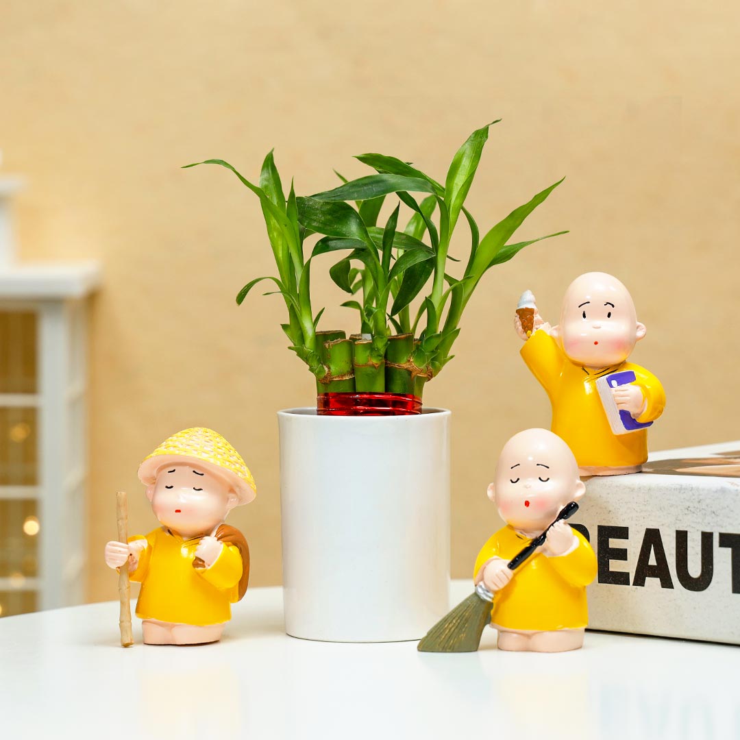 Buy Lucky Bamboo In Ceramic Glass & Monk Online