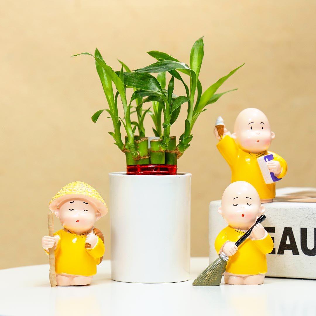 Lucky Bamboo In Ceramic Glass & Monk