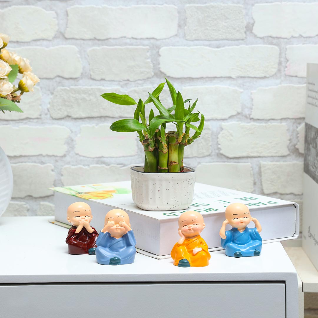 Send Lucky bamboo with four little monks Online