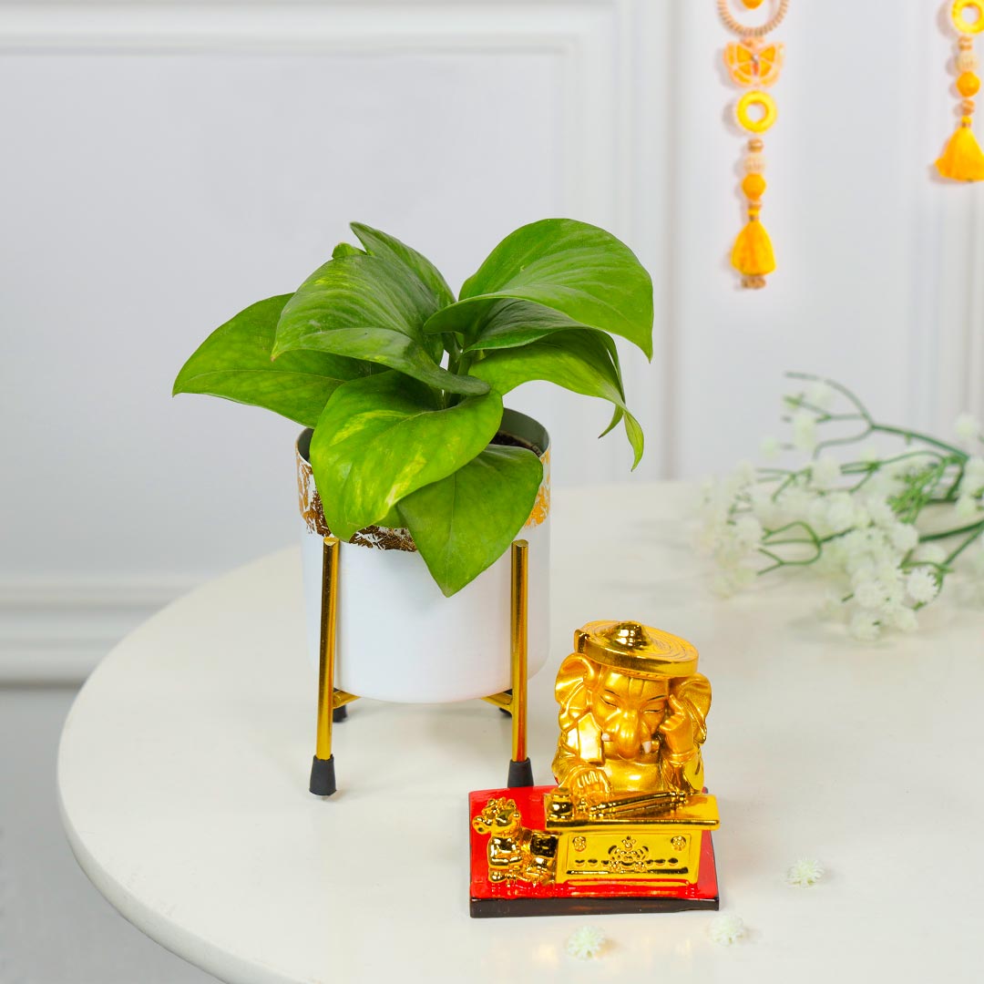 Lucky Charm Duo Of Ganesha And Money Plant