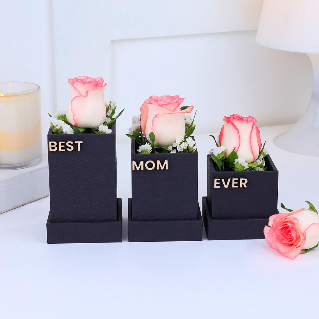Mom's Gratitude And Joy Gift Set