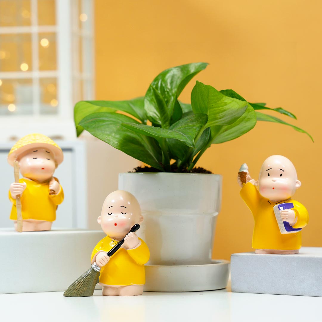Money Plant In Ceramic Glass With Monk Set