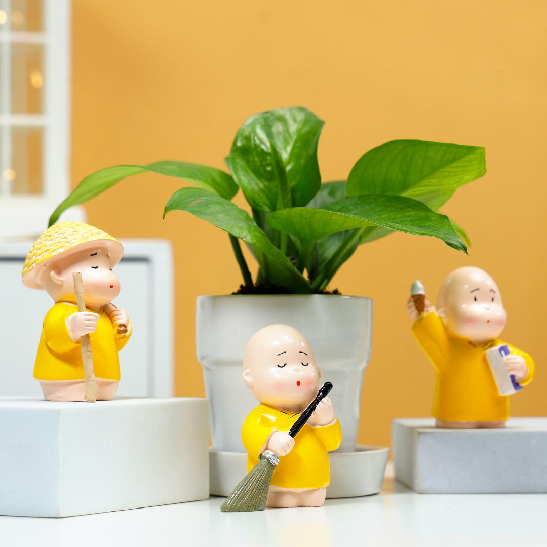 Money Plant In Ceramic Glass With Monk Set