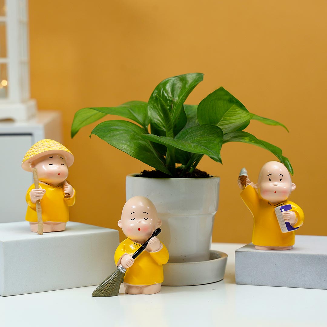 Money Plant In Ceramic Glass With Monk Set