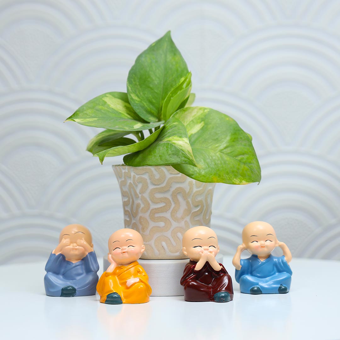 Send Money Plant with Little Monk