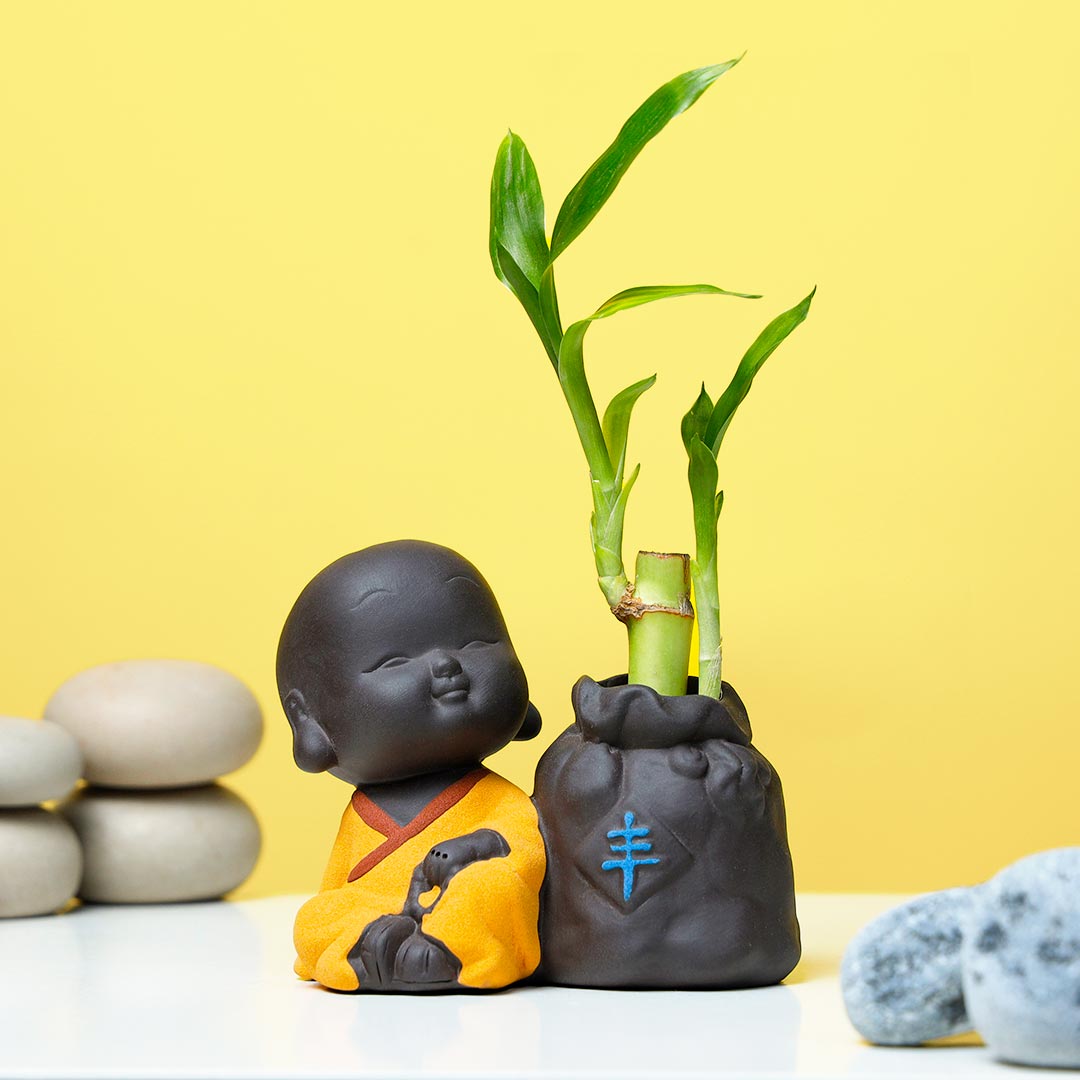 Monk Meditation With Lucky Bamboo