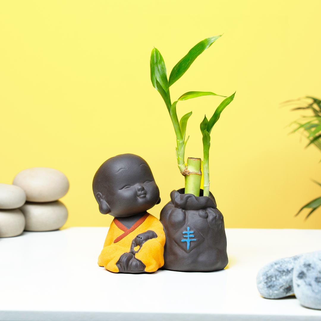 Monk Meditation With Lucky Bamboo