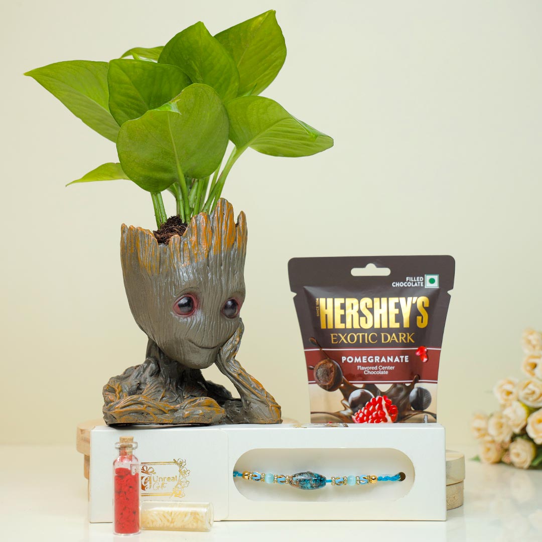 Oval-Shaped Rakhi with Groot Plant & Chocolate