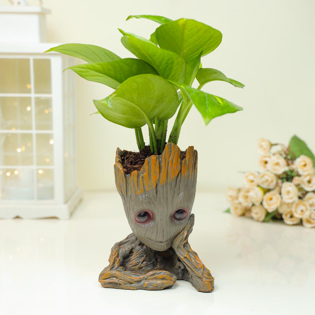 Oval-Shaped Rakhi with Groot Plant & Chocolate