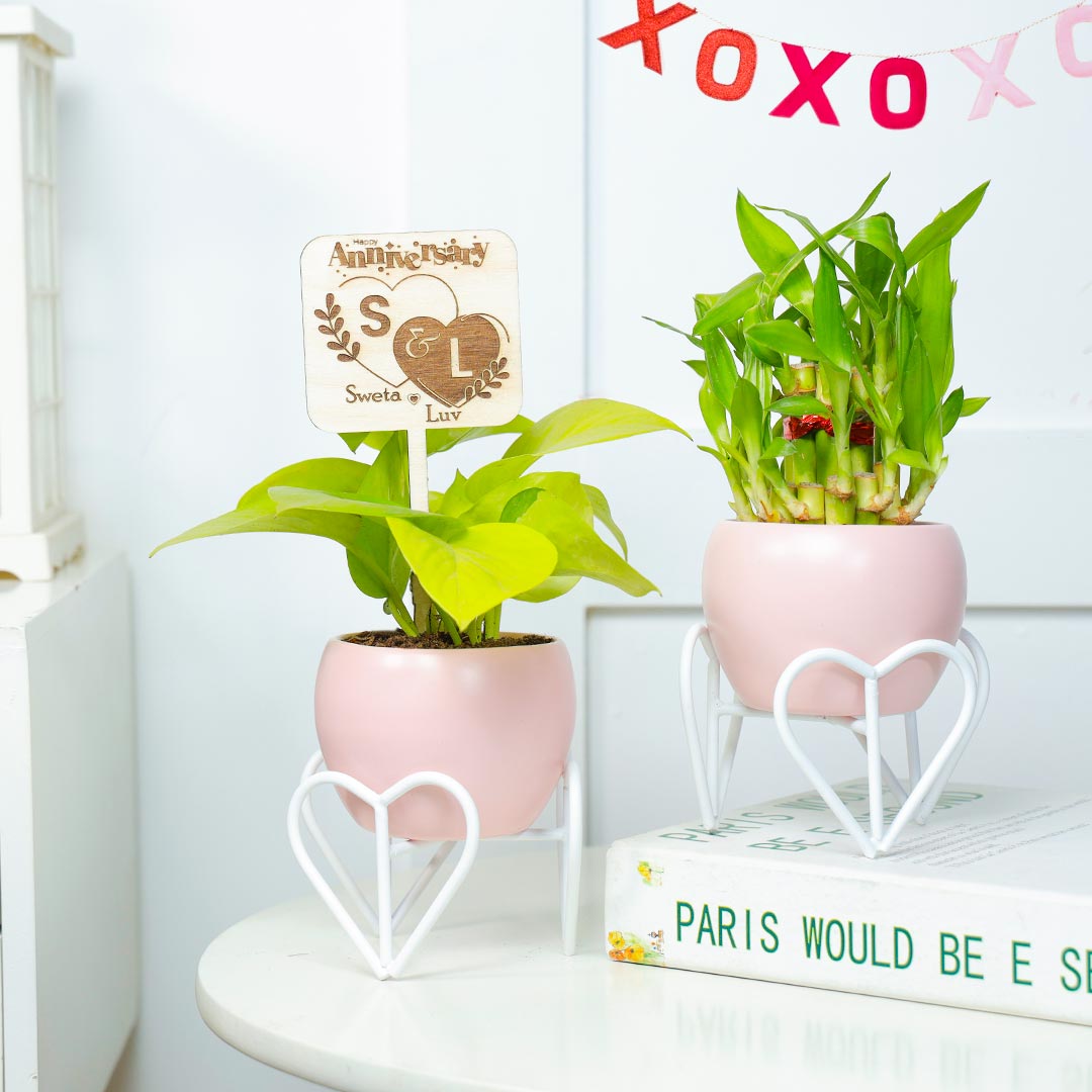 Order Personalized Anniversary Charming Duo Plants