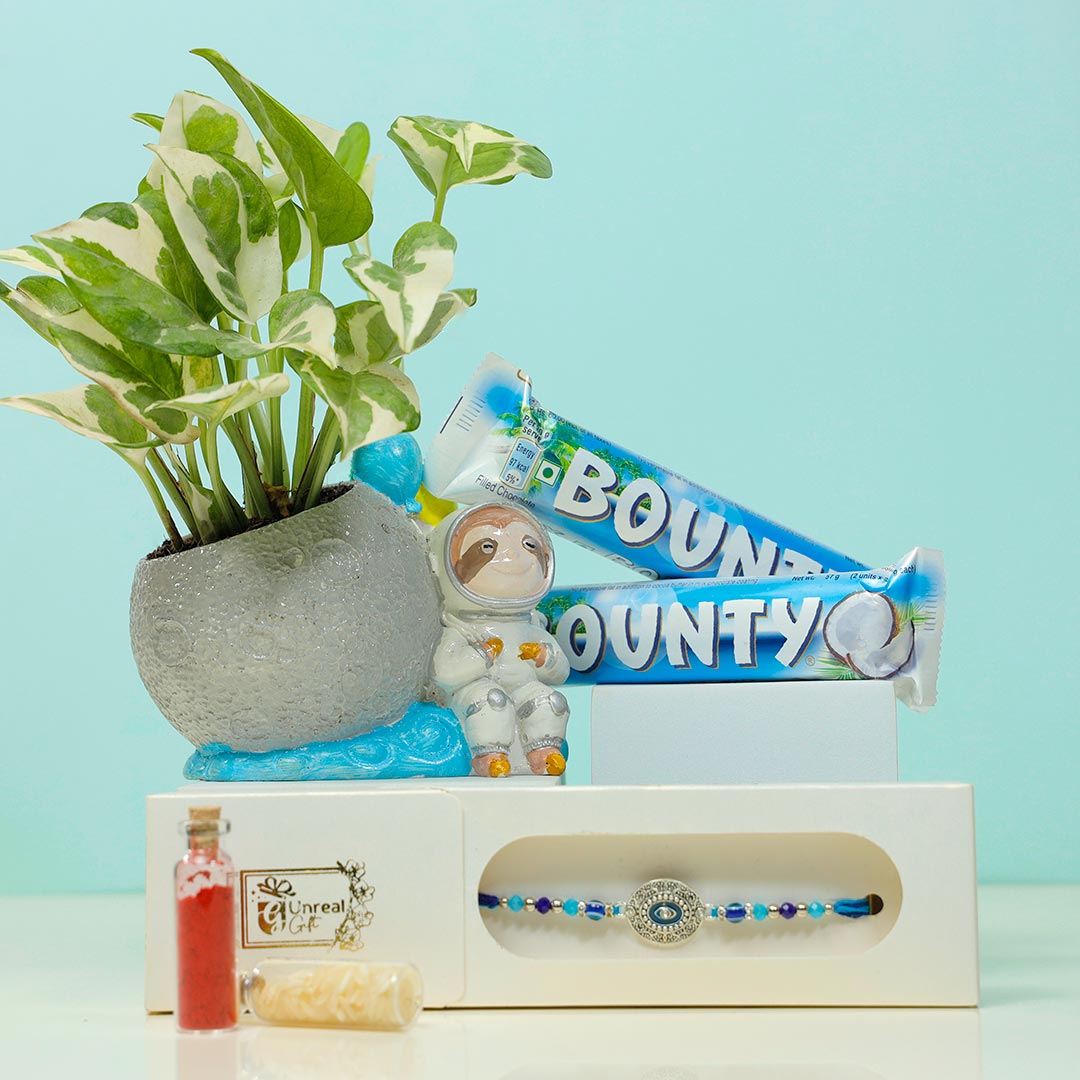 Order Premium Stone Rakhi With Plant & Chocolate Online