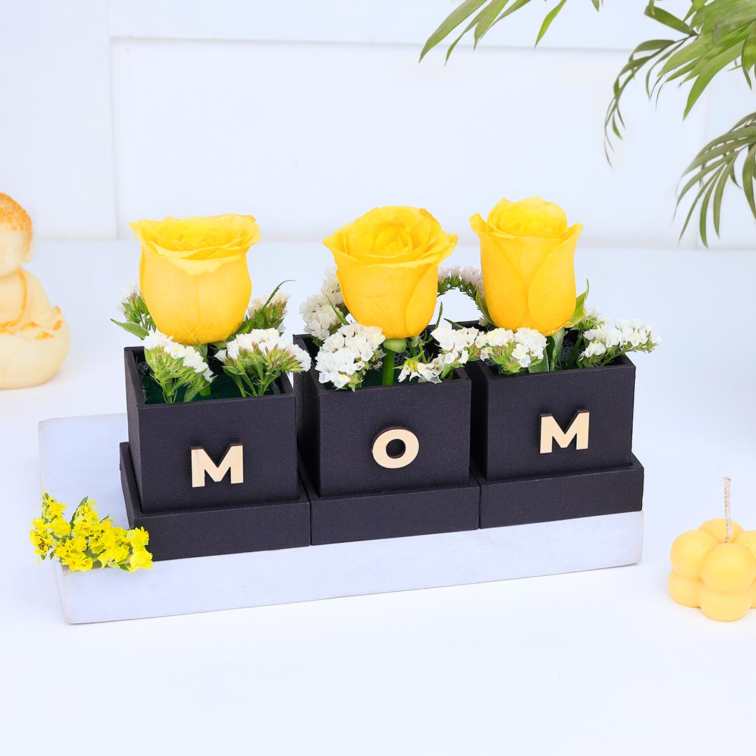 Sentimental Mom's Day Gift Combo