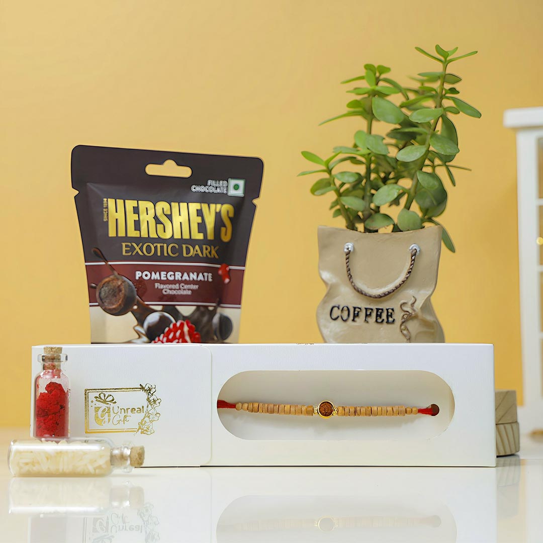 Buy Single Rudraksha Rakhi With Hershey's & Plant