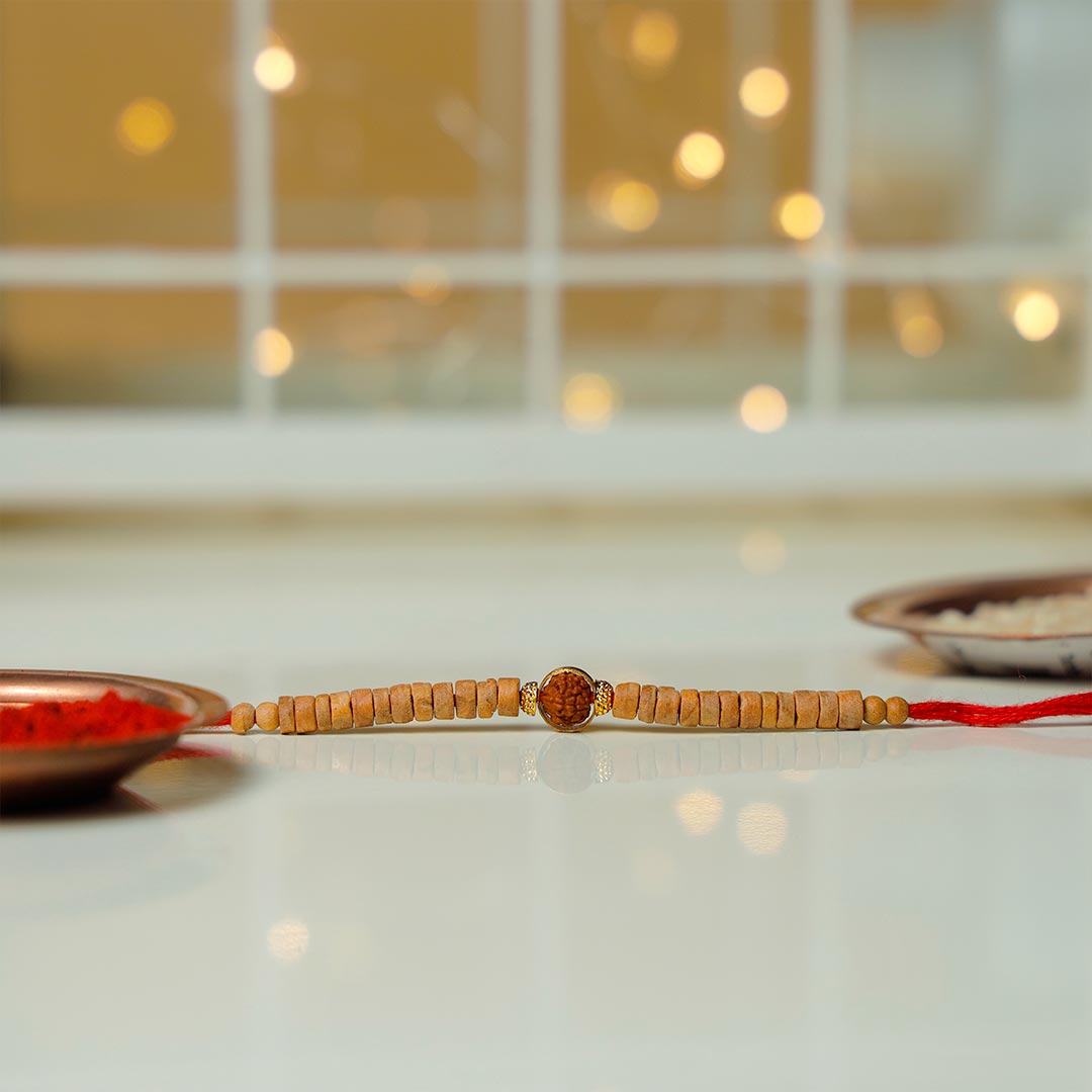 Single Rudraksha Rakhi With Hershey's & Plant