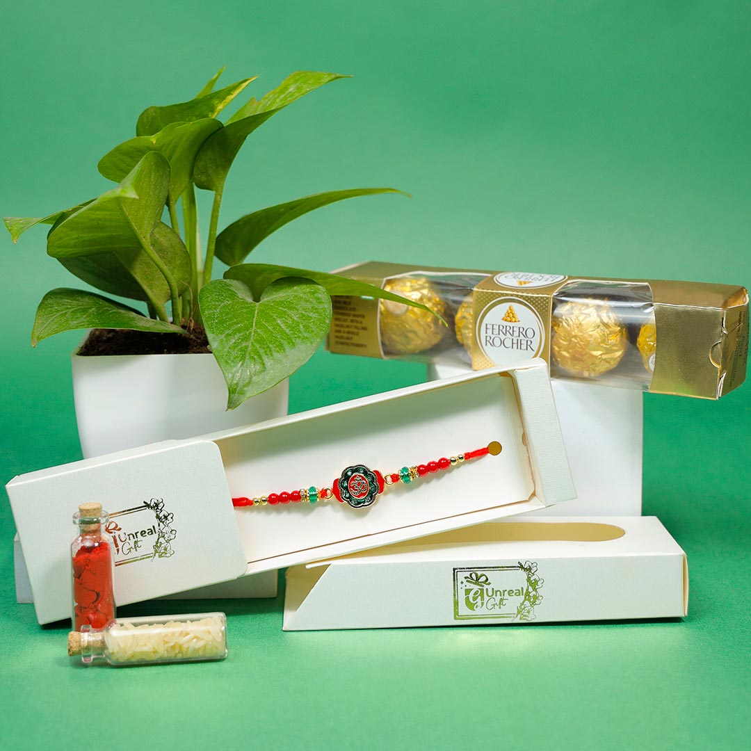 Buy Stone Rakhi With Choco N Money Plant