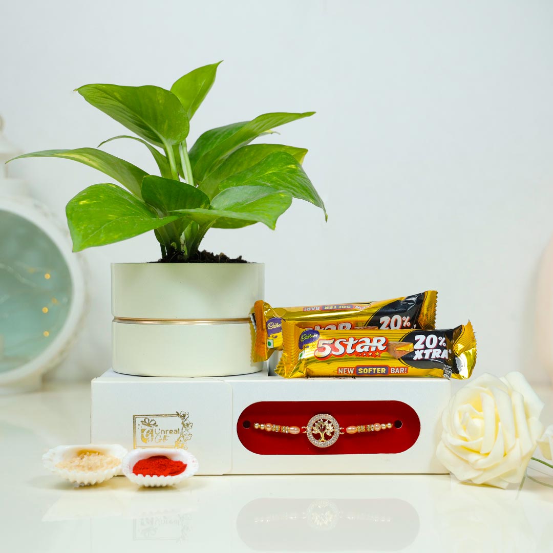 Stone Studded Rakhi With Plant N Chocolate Order Now