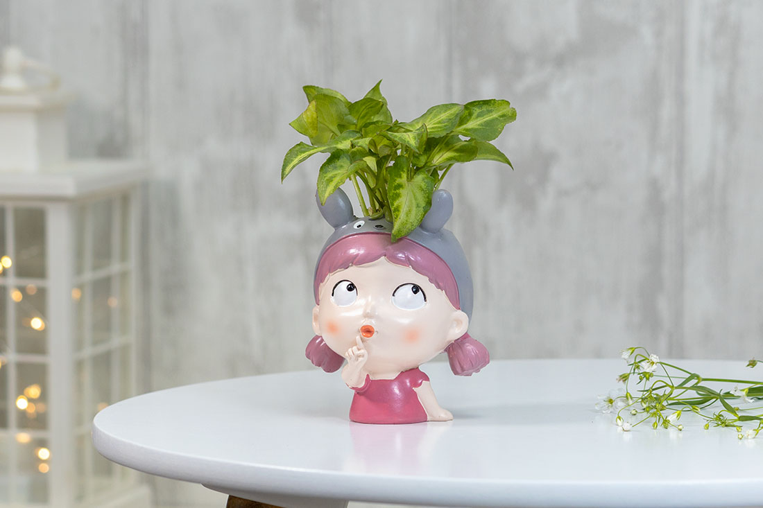 Syngonium In Cute Thinking Girl Send Now