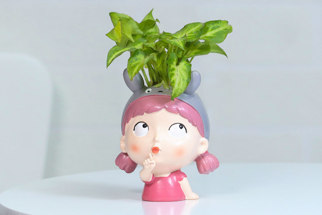 Syngonium In Cute Thinking Girl