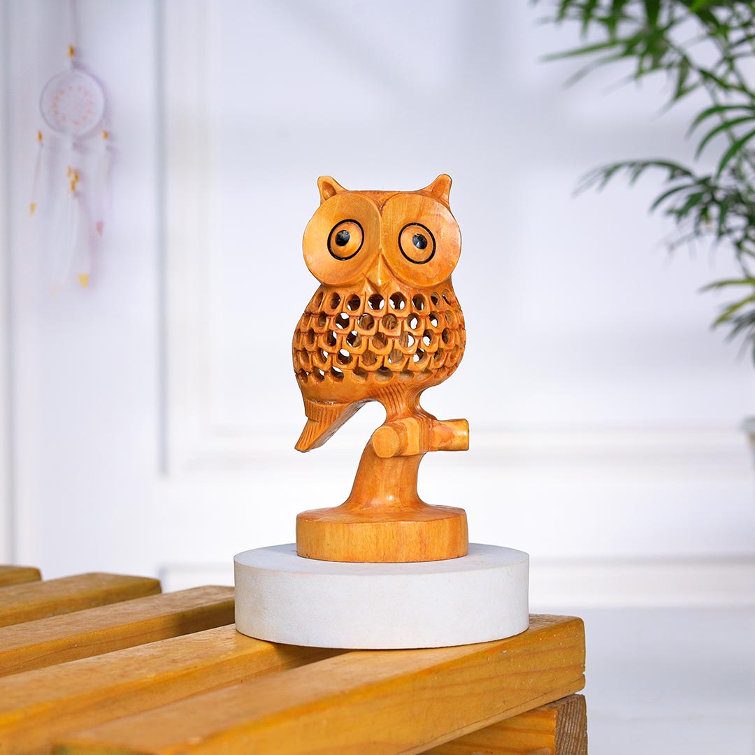 Unique Wooden Owl With a Big Eye