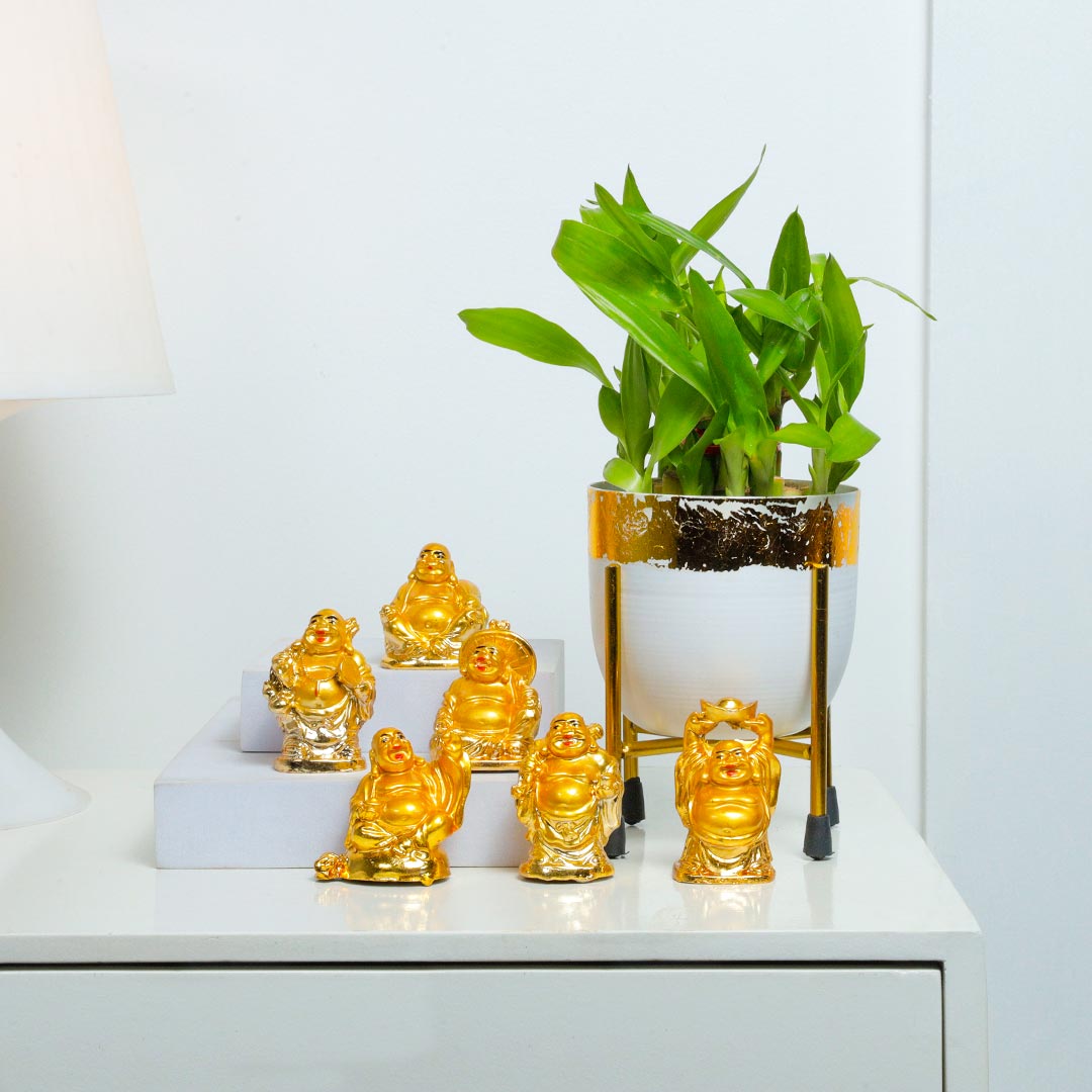 Send White Pot Green Bamboo Laughing Buddha